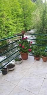 Wander Sairme - Sairme - 1