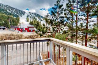 Saddle Road Sanctuary - South Lake Tahoe - 6