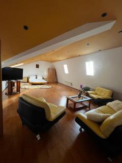 Apartament central Timisoara - Timişoara - 6