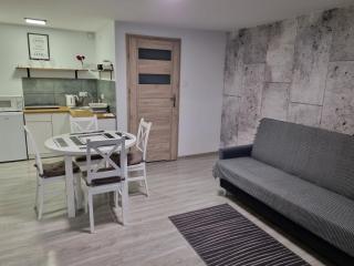 Willa "Aparthause" E-Apartamenty - 1