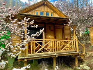 The 2 Magpies, Hunza - 6