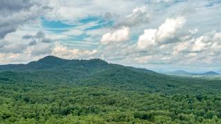 The High Life LONG RANGE VIEWS OF THE BLUE RIDGE MOUNTAINS - Mineral Bluff - 6