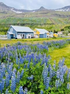 Lónsleira Apartments - Seyðisfjörður - 9