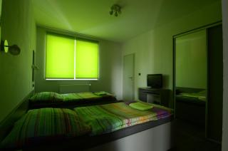 Pension Escrime - Karlovy Vary - 6