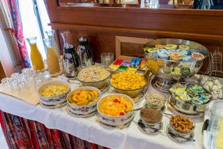 Hotel Diplomate - Ginevra - 4