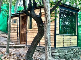 The 2 Magpies, Hunza - 3