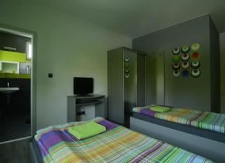 Pension Escrime - Karlovy Vary - 5