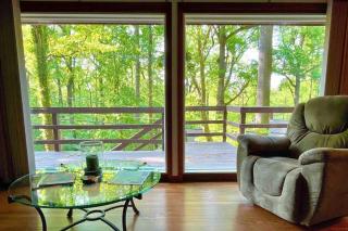 Modern Cabin With Hot Tub Grill Lake Beach Wineries Hiking Fishing And Hershey Park Family And Pet Friendly Superhosts On AB&B - Mount Gretna - 9