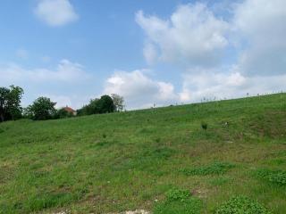 Nina - Arandjelovac - 8