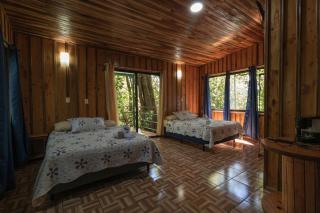 The Green Tree Lodge - Monteverde - 8
