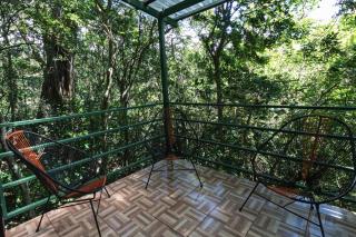 The Green Tree Lodge - Monteverde - 9