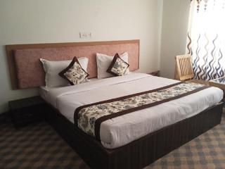 Norbooling HomeStay, Leh Ladakh - Leh - 6