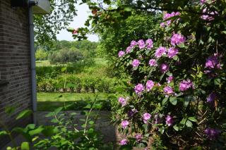 Boshuis Golfzicht "Wellness, Golf & Nature" - 6