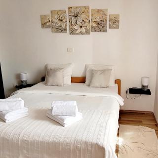 Apartman Rocky - Petrovija - 8