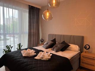 Family & Business Elegant Apartments, Kadzielnia, WDK, Stadion Korona -1 Bedroom, Terrace, Garage, NEW! - Kielce - 6