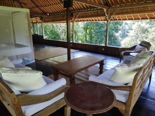 Villa Damai Shanti - Ubud - 5