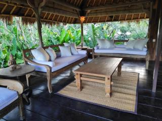 Villa Damai Shanti - Ubud - 4