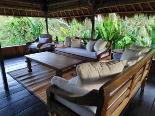 Villa Damai Shanti - Ubud - 3