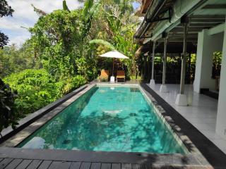 Villa Damai Shanti - Ubud - 1