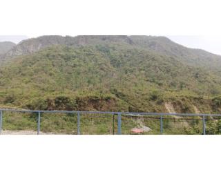 Mount View Homestay, Sahastradhara - Dehradun - 6