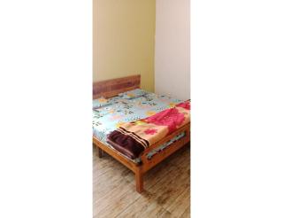 Mount View Homestay, Sahastradhara - Dehradun - 5