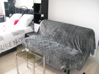 Charmant STUDIO au Calme Tout Confort Dans Château Néo Gothique proche ZENITH COMET ORLEANS Parking Voiture Gratuit WIFI Haut Débit Rue des Montées - Orléans - 3