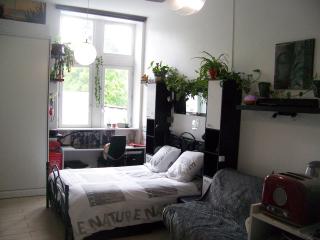 Charmant STUDIO au Calme Tout Confort Dans Château Néo Gothique proche ZENITH COMET ORLEANS Parking Voiture Gratuit WIFI Haut Débit Rue des Montées - 7