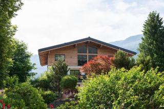 Apartment in Bramberg am Wildkogel with garden - Bramberg am Wildkogel - 6