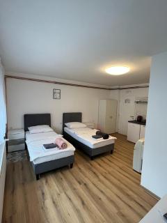 OPG - ZM APARTMANI MARTINOVIĆ - Novska - 5