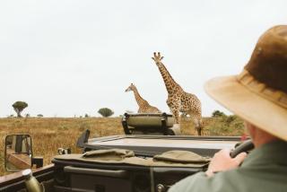 Makongo Hills Lodge - Magudu - 8