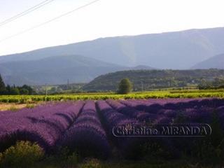 La Chapelle Gite avec piscine chauffee - 6