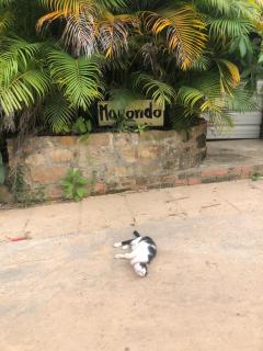 Macondo Mpai bay - Koh Rong Sanloem - 7