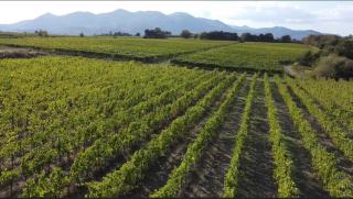 COUNTRY HOUSE LE VIGNE b&b - Galluccio - 6