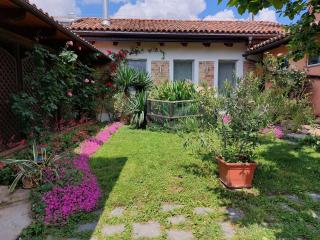 Holydays Home LITTLE FROG - Agliano Terme - 2