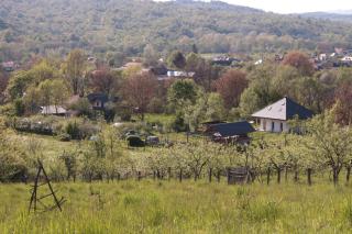 Saint Friday Cottage - Retreat, Garden and Forest - Vîlsăneşti - 7