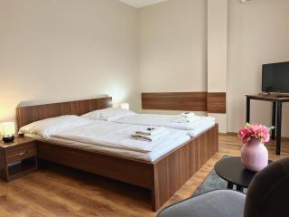 Hotel Aréna - Brumov - 8