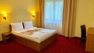 Hotel Termal - Geoagiu Băi - 5