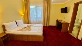 Hotel Termal - Geoagiu Băi - 2