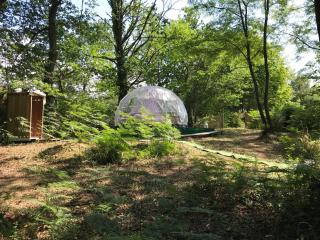 Bulle étoilée en Nature Landaise - Saint-Sever - 1