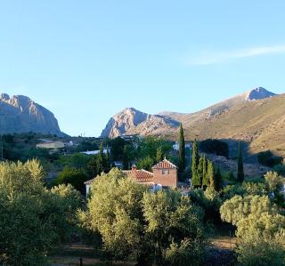 Harmony Home - Alcaucín - 0