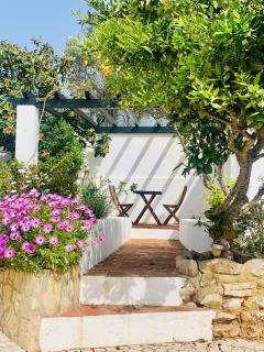 Quinta da Bela Vista - Lagos - 3