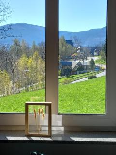 Apartament Gór-Ski Saneczkowa - Karpacz - 8