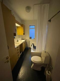 Reykjavik Apartment With 4 Bedrooms - City Center - Reykjavik - 3