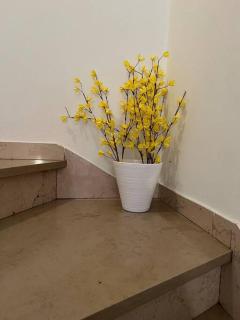Casa di Carmignanello - Cantagallo - 4