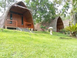 Orangutan Bungalow - Bukit Lawang - 4