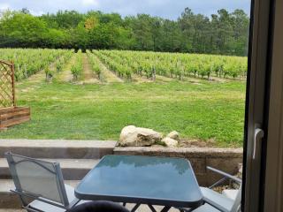 A L'OMBRE DE LA TREILLE -Proche Saint-Emilion - Saint-Magne-de-Castillon - 4