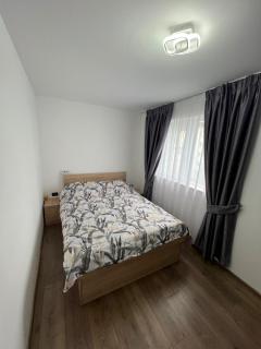 Sica GuestHouse - Borşa - 5