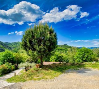 Douce Quiétude "L'ESCAPADE" chambre d'hôtes - Vals-les-Bains - 1