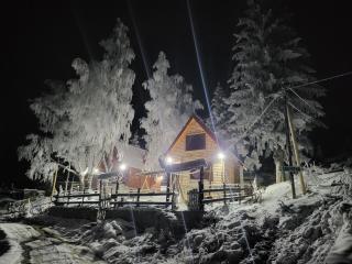 Weekend house Lokve - Retro - 6