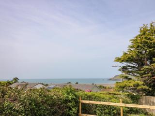 Bryn Alaw - Newport - 7